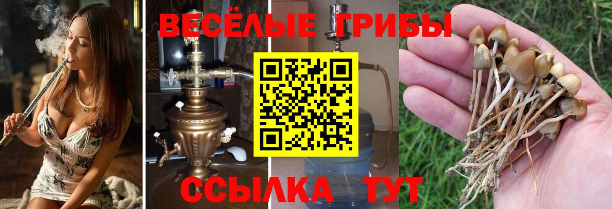 Псилоцибиновые грибы Magic Shrooms  Вход с VPN  Выкса 